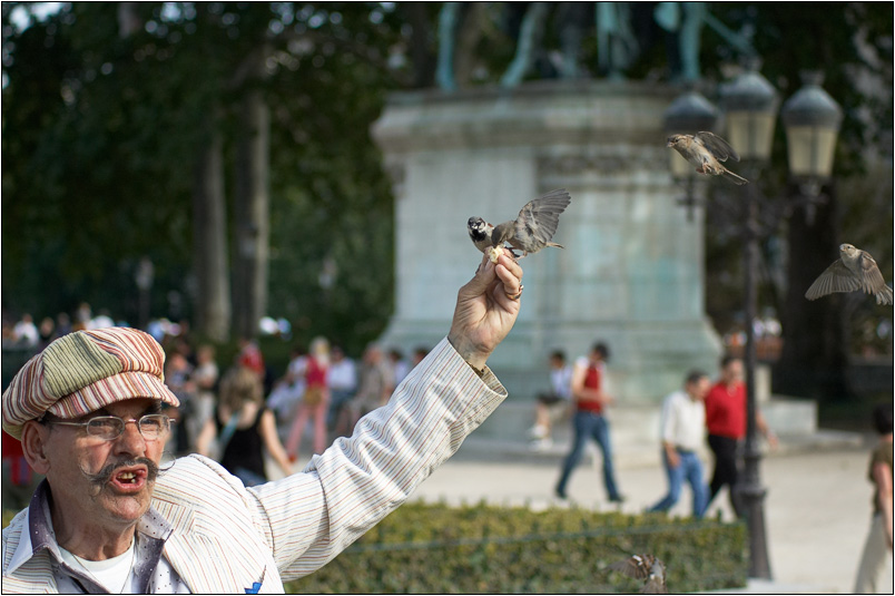 Yvon, montreur d'oiseaux