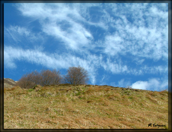 Entre ciel et terre
