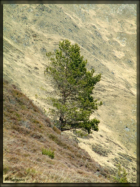 Couleurs de montagne