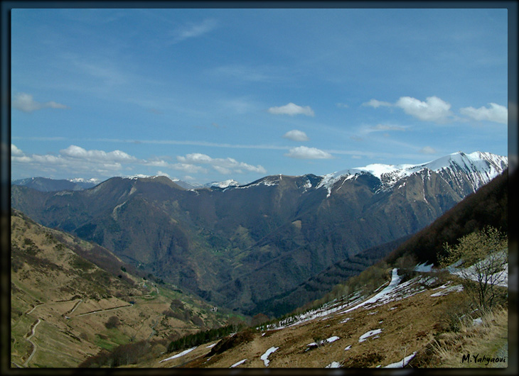Panorama
