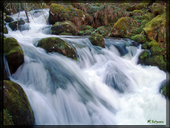 Cascade1